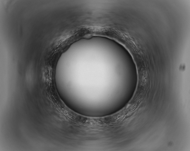 X0000101201301200806271341