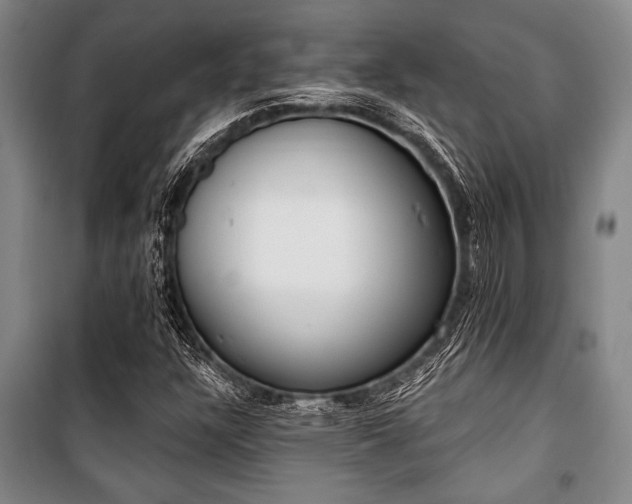 X0000101201304200806271341