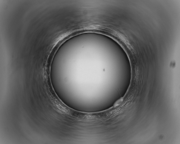 X0000101201308200806271341
