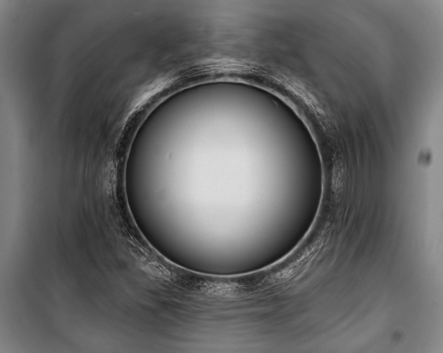 X0000101201309200806271341
