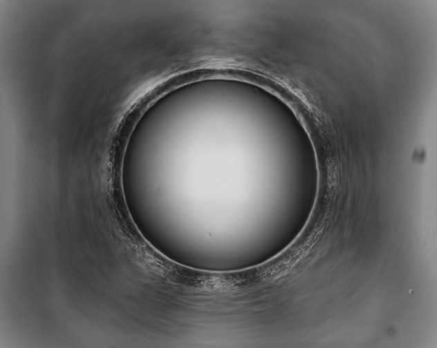 X0000101201311200806271341