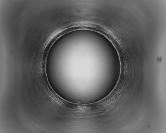 X0000101201312200806271341
