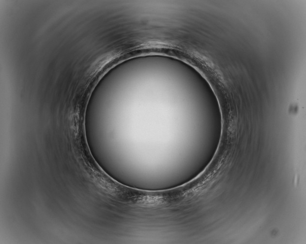 X0000101201313200806271341