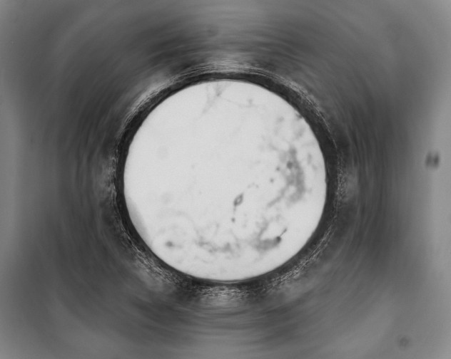 X0000101201314200806271341