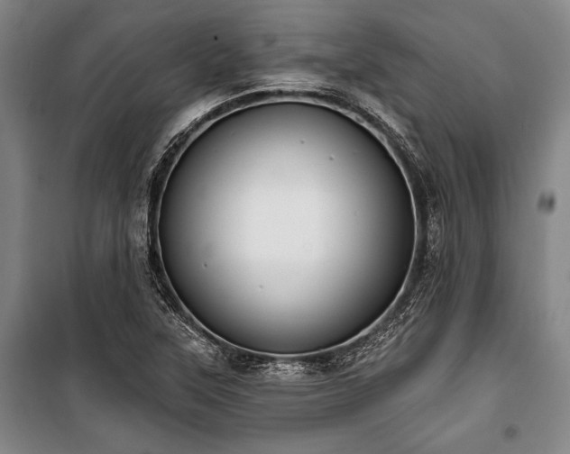 X0000101201315200806271341