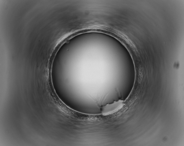 X0000101201316200806271341