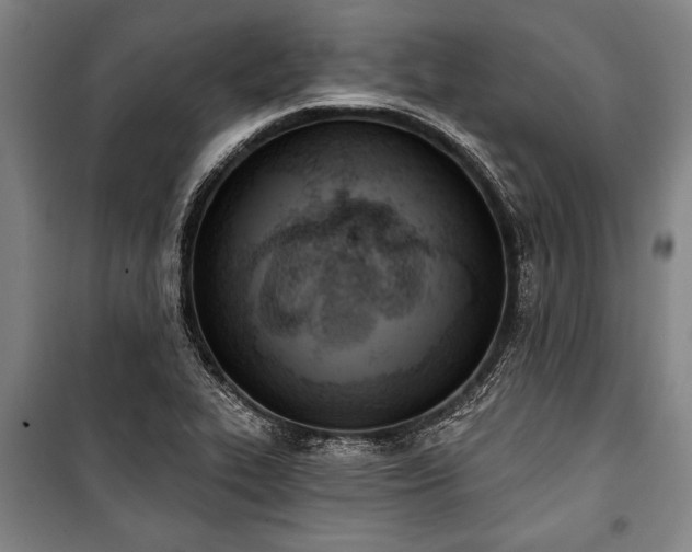 X0000101201319200806271341