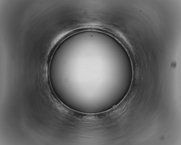 X0000101201320200806271341