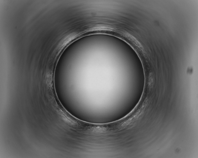 X0000101201321200806271341