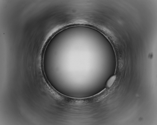 X0000101201326200806271341