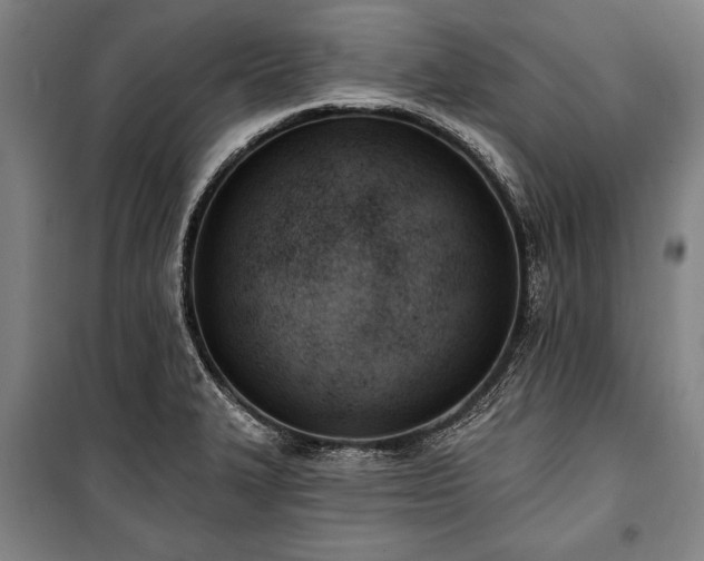X0000101201327200806271341