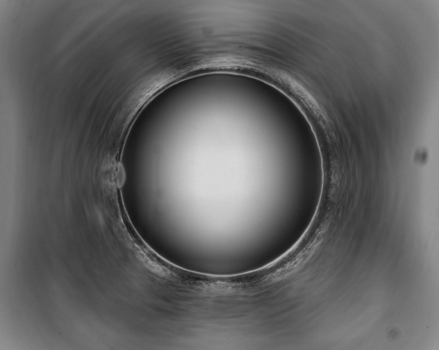 X0000101201329200806271341