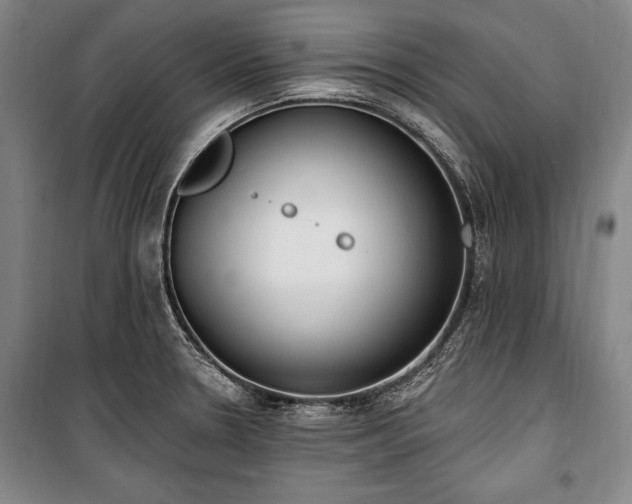 X0000101201330200806271341