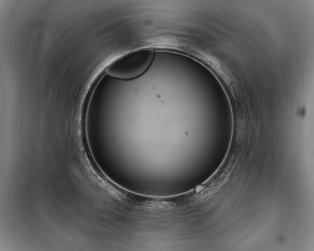 X0000101201331200806271341