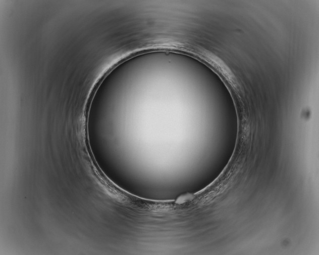 X0000101201332200806271341