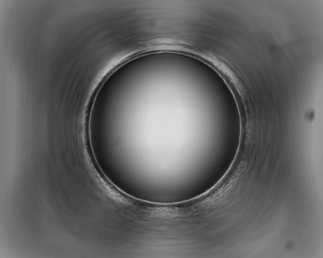 X0000101201333200806271341