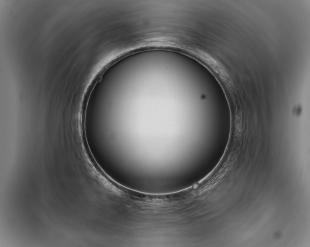 X0000101201334200806271341