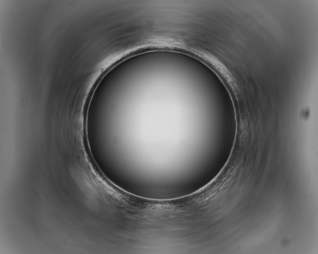 X0000101201335200806271341