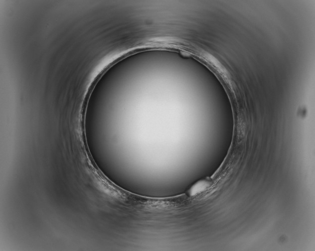 X0000101201336200806271341
