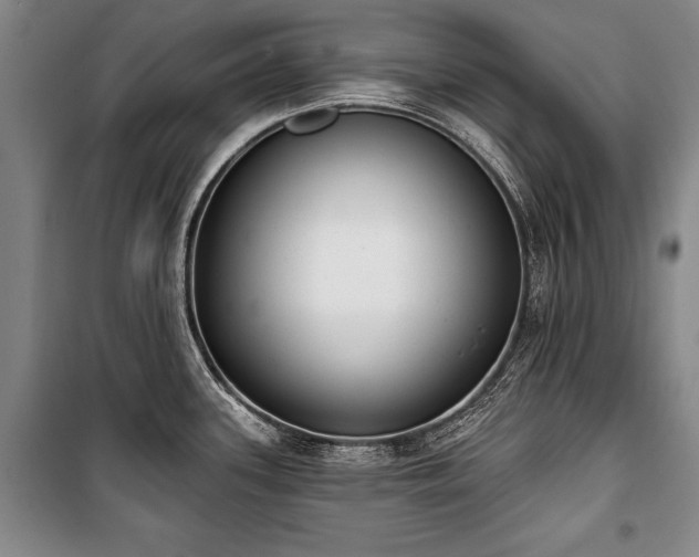 X0000101201339200806271342