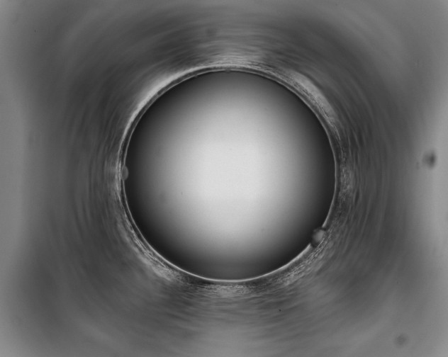 X0000101201340200806271342