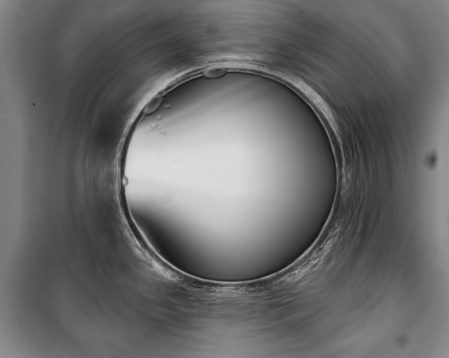 X0000101201341200806271342
