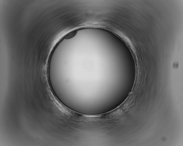 X0000101201344200806271342