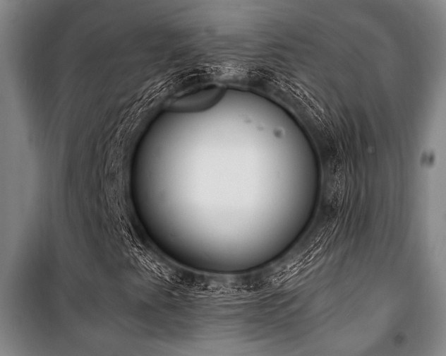 X0000101201345200806271341