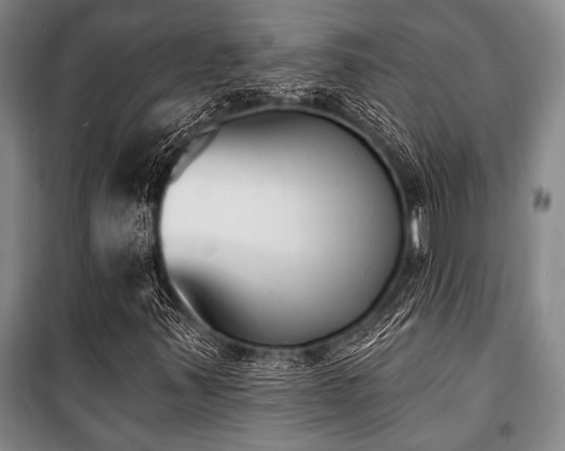 X0000101201347200806271341