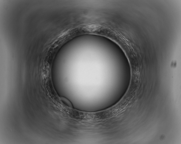 X0000101201349200806271341