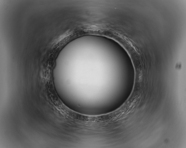 X0000101201350200806271341