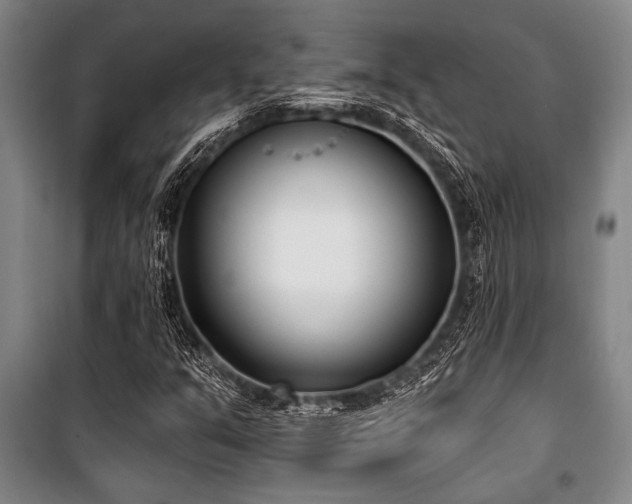 X0000101201351200806271341