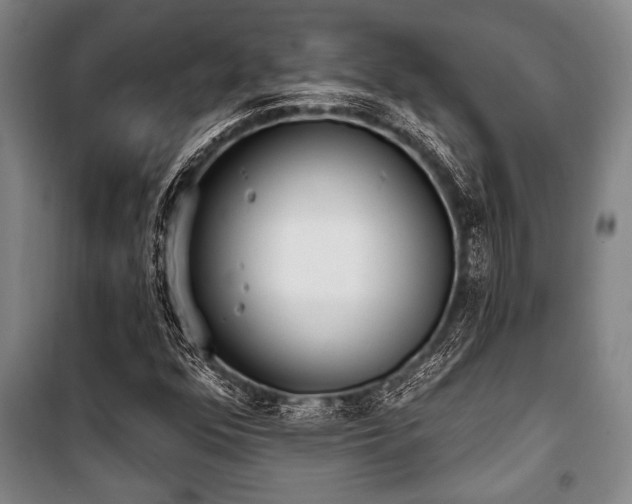 X0000101201352200806271341