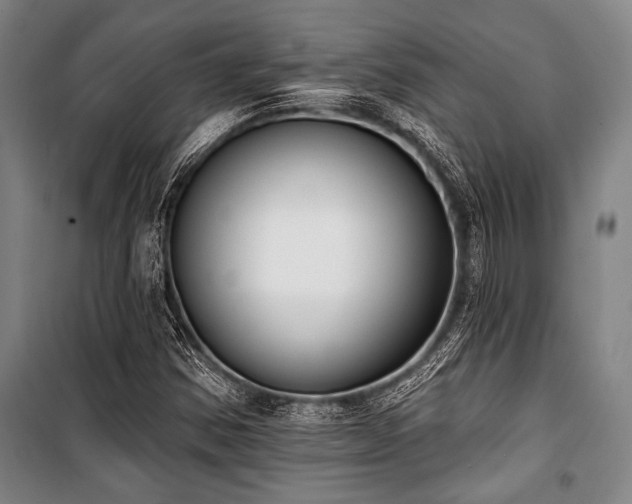 X0000101201354200806271341