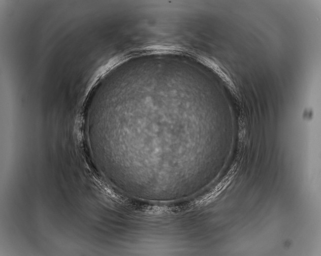 X0000101201357200806271341
