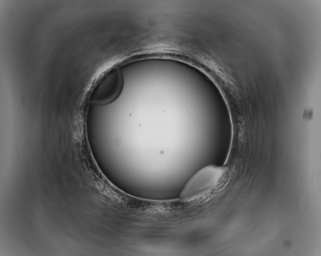 X0000101201358200806271341