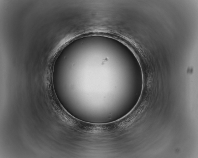 X0000101201359200806271341