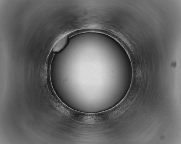 X0000101201364200806271341