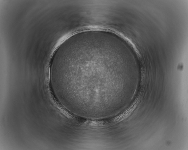 X0000101201365200806271341