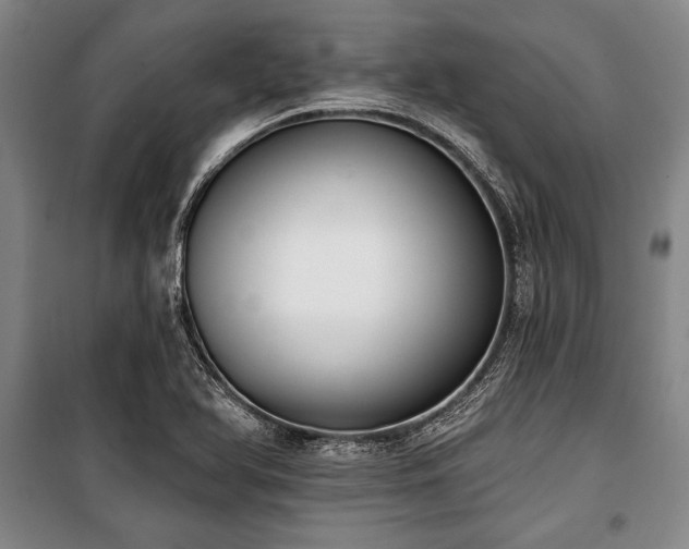 X0000101201366200806271341