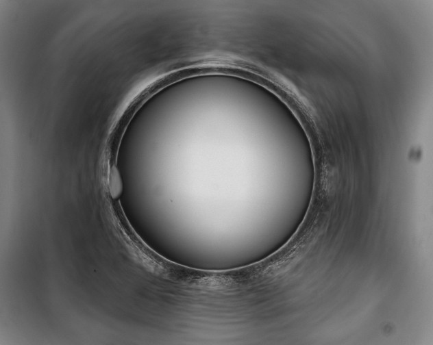 X0000101201368200806271341