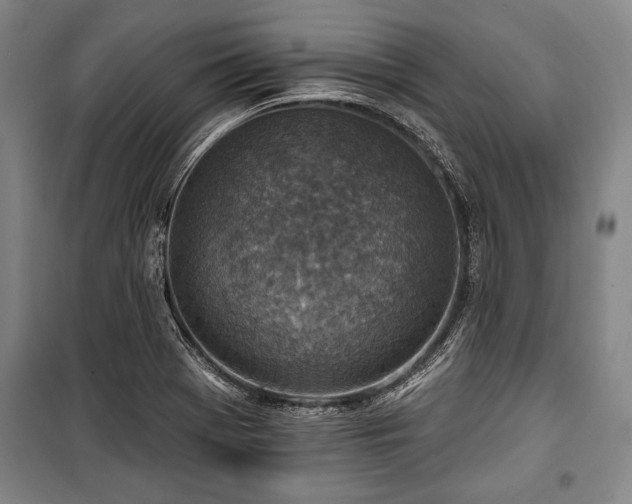X0000101201369200806271341
