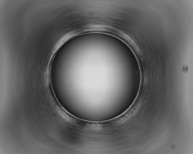 X0000101201370200806271341