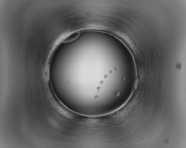 X0000101201371200806271340