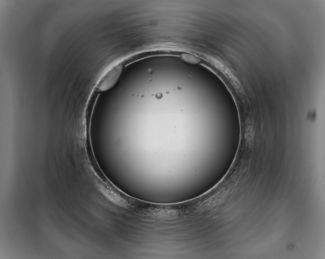 X0000101201372200806271340