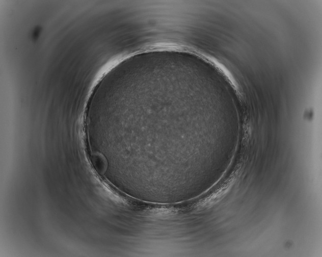 X0000101201373200806271340