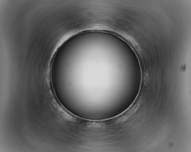 X0000101201374200806271340