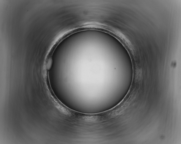 X0000101201376200806271340