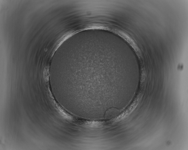 X0000101201377200806271340