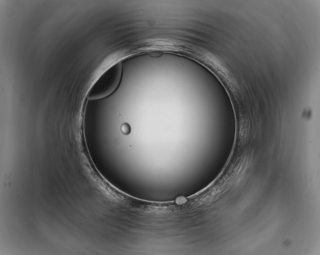 X0000101201378200806271340